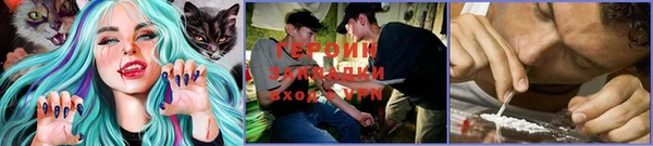 прущие грибы Абдулино
