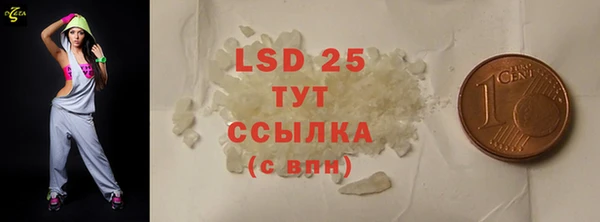 прущие грибы Абдулино
