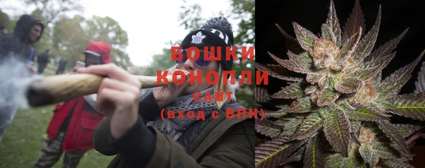 прущие грибы Абдулино